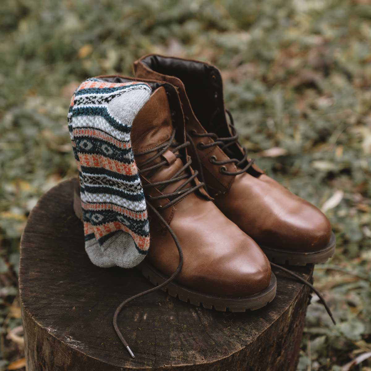 Ragnar Wolle (5 paar)